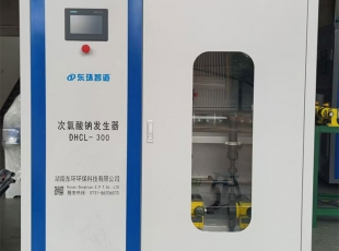 湖北300g次氯酸鈉發生器